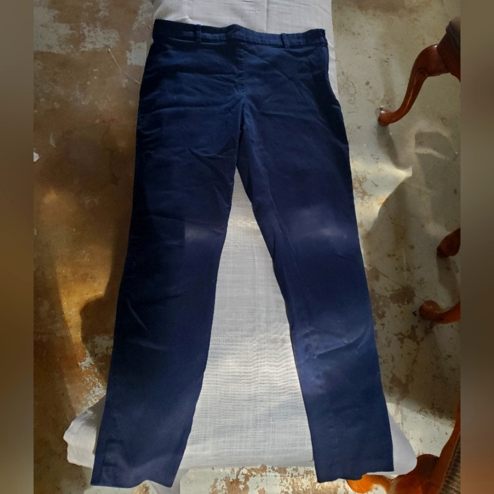 H&M Navy Blue Side-zip Cigarette pants